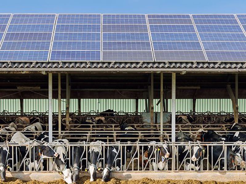 Energieopslagsystemen voor agrarische bedrijven